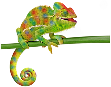 Chameleon